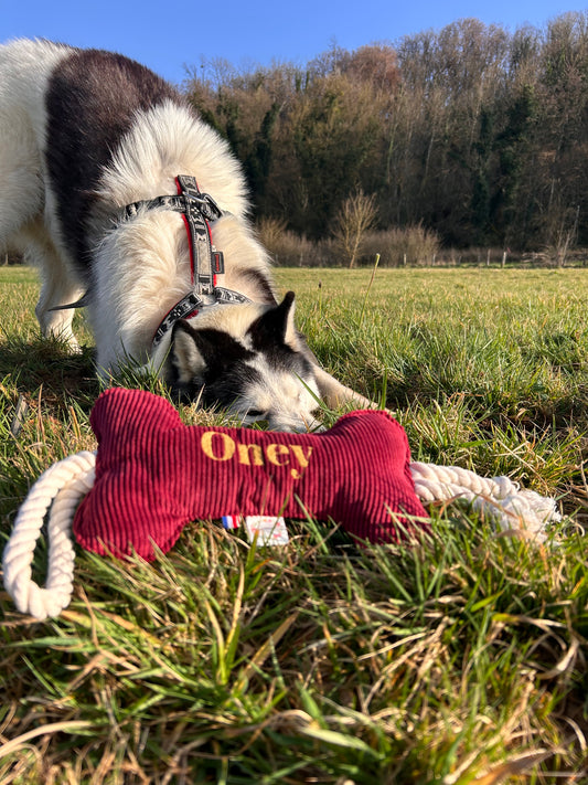 Jouet pour chien