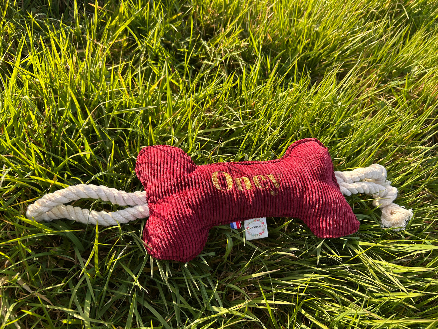 Jouet pour chien